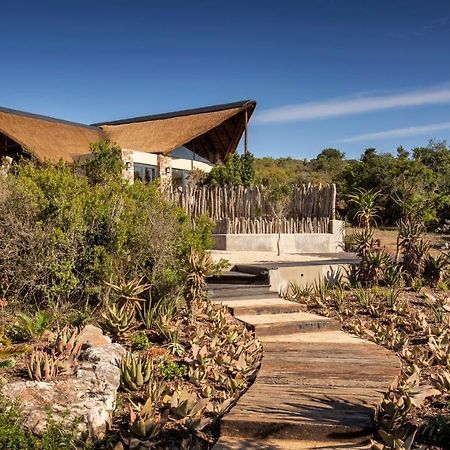 Lalibela Game Reserve - Kichaka Lodge Paterson Luaran gambar
