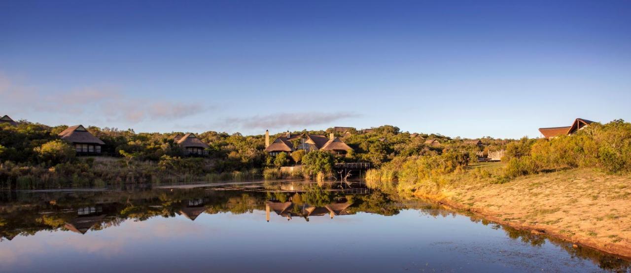 Lalibela Game Reserve - Kichaka Lodge Paterson Luaran gambar