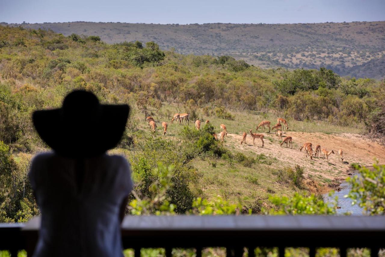 Lalibela Game Reserve - Kichaka Lodge Paterson Luaran gambar
