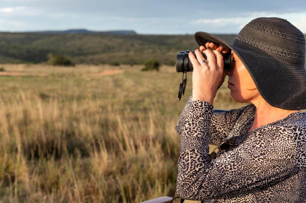 Lalibela Game Reserve - Kichaka Lodge Paterson Luaran gambar