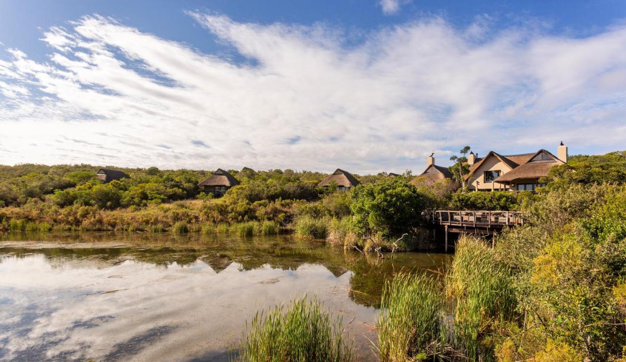 Lalibela Game Reserve - Kichaka Lodge Paterson Luaran gambar