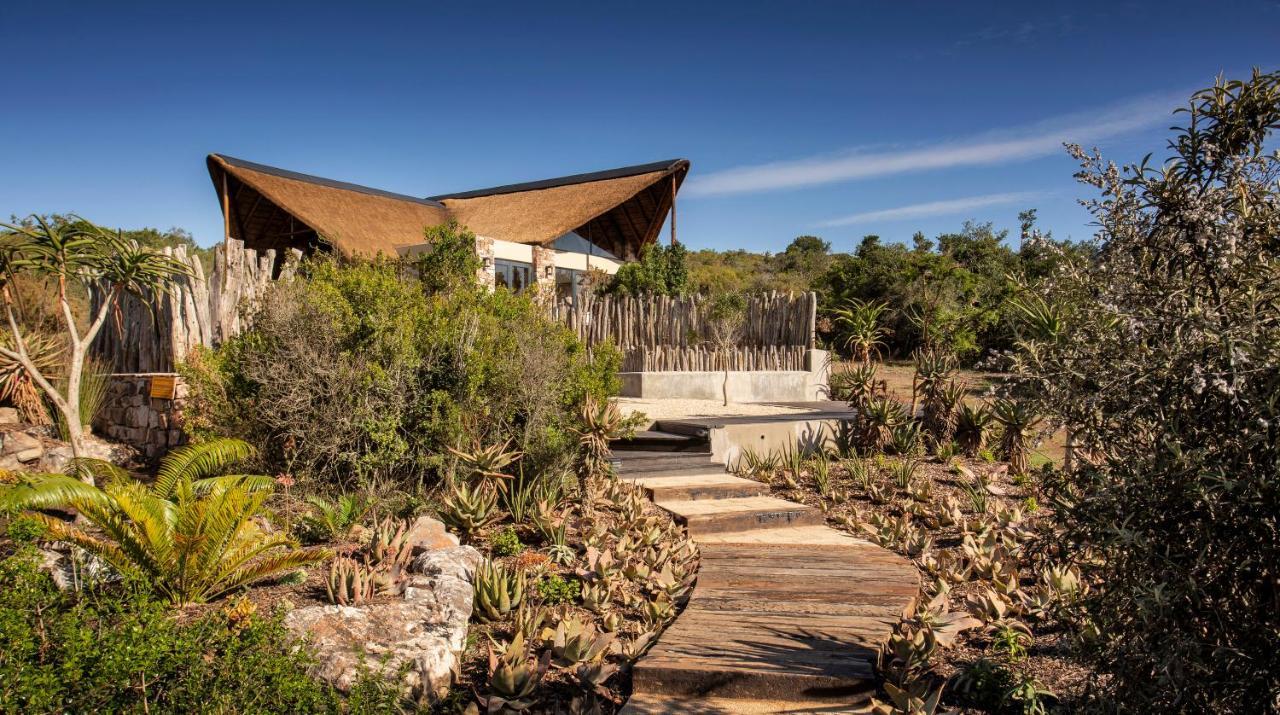 Lalibela Game Reserve - Kichaka Lodge Paterson Luaran gambar