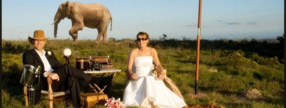 Lalibela Game Reserve - Kichaka Lodge Paterson Luaran gambar