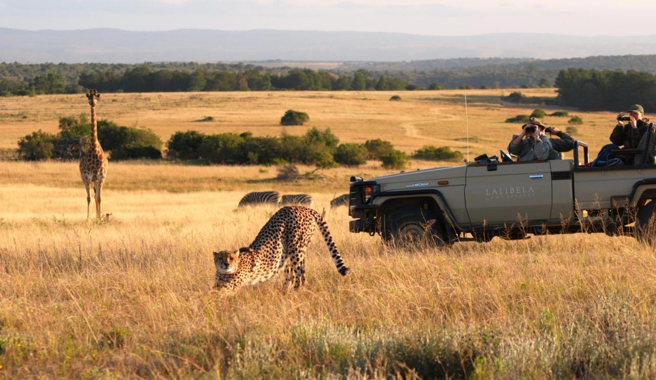 Lalibela Game Reserve - Kichaka Lodge Paterson Luaran gambar